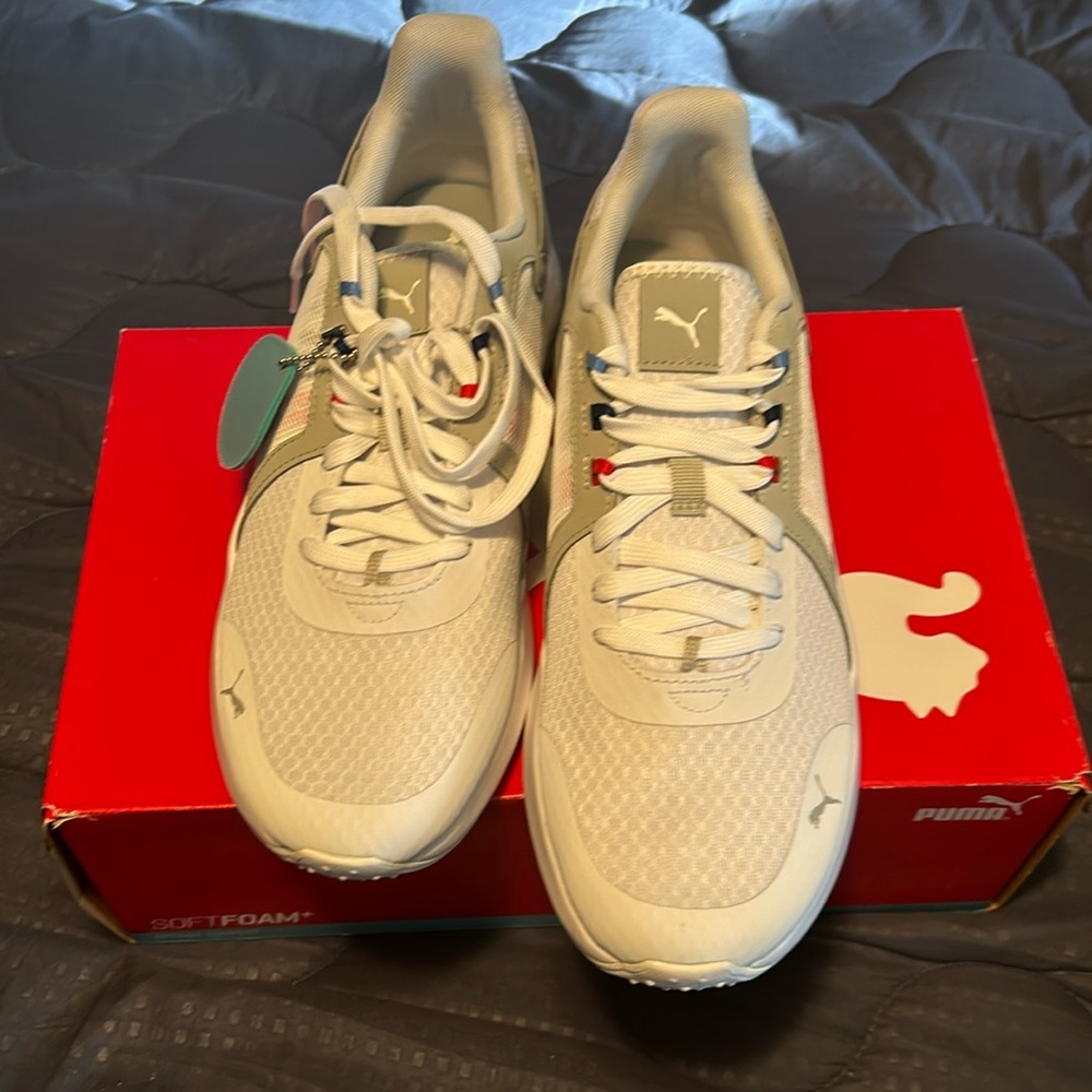 Puma clean